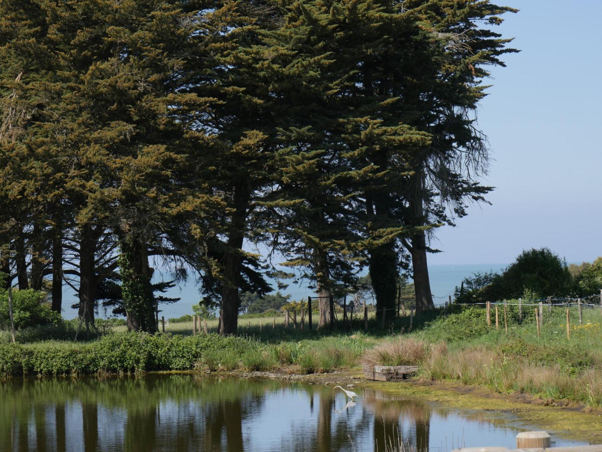 Eco-Domaine La Fontaine - Hotel-Spa - Plage De La Fontaine Aux Bretons